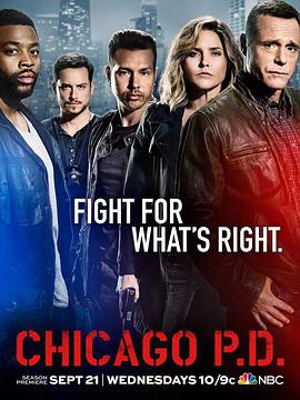 [动作] 芝加哥警署 第四季 Chicago P.D. Season 4  [杰森·贝吉 Jason Beghe/乔恩·塞达][蓝光/高清1080p/4K下载]