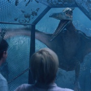 侏罗纪公园3 Jurassic Park III 剧照