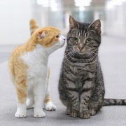 [爱情/喜剧] 最完美的离婚 最高の離婚  [永山瑛太/尾野真千子][蓝光/高清1080p/4K下载]