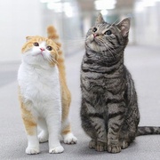 [爱情/喜剧] 最完美的离婚 最高の離婚  [永山瑛太/尾野真千子][蓝光/高清1080p/4K下载]