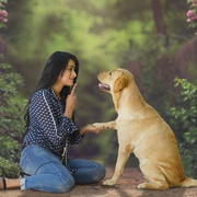 [冒险/喜剧] 777查理 777 Charlie  [拉克西特·谢蒂/Charlie][蓝光/高清1080p/4K下载]