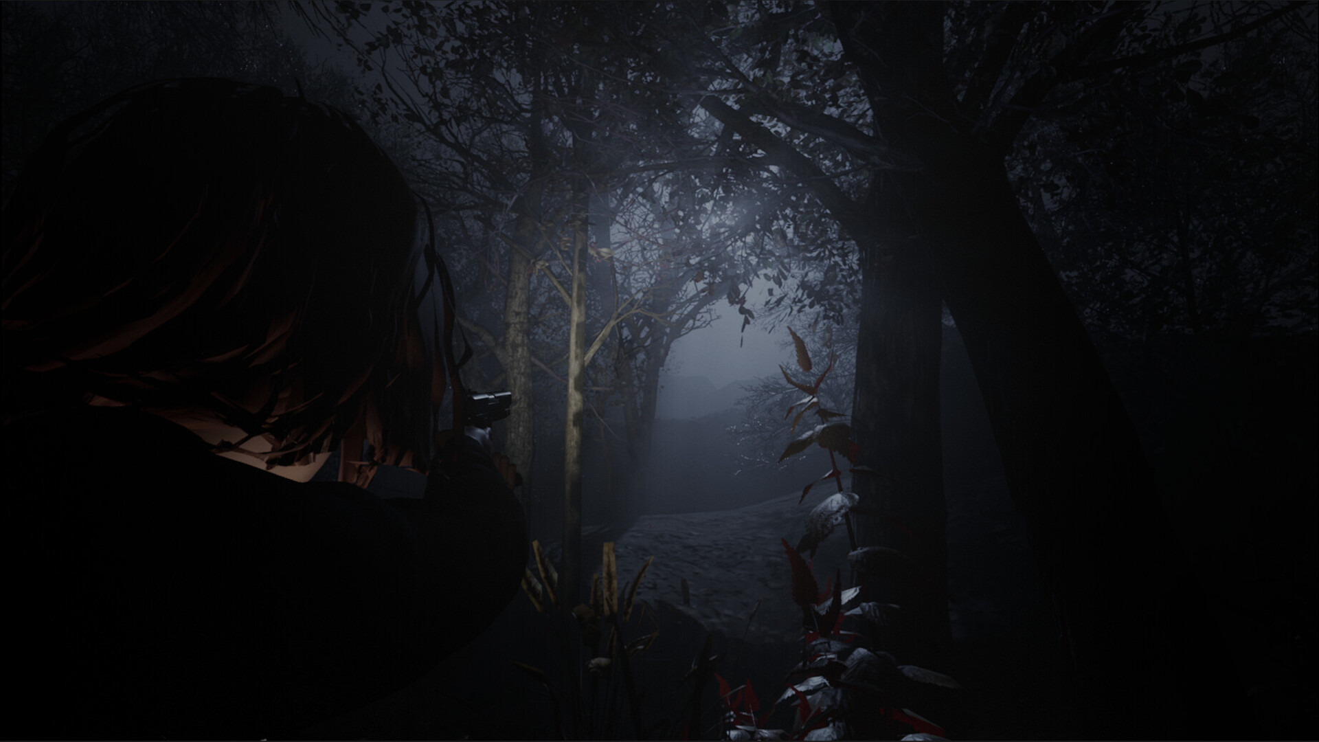 黎明教派 Build.21552157（Cult of Dawn）免安装英文版