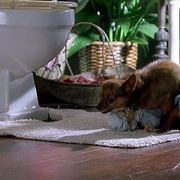 [爱情/喜剧] 拜见岳父大人2 Meet the Fockers  [本·斯蒂勒/罗伯特·德尼罗][蓝光/高清1080p/4K下载]