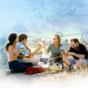 [爱情/喜剧] 杯酒人生 Sideways  [保罗·吉亚玛提/托马斯·哈登·丘奇][蓝光/高清1080p/4K下载]