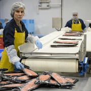 [剧情] 不可饶恕 The Unforgivable  [桑德拉·布洛克/乔·博恩瑟][蓝光/高清1080p/4K下载]