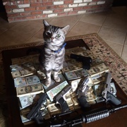 [犯罪/悬疑] 超感神探 第七季 The Mentalist Season 7  [西蒙·贝克/罗宾·汤尼][蓝光/高清1080p/4K下载]