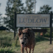 [恐怖/奇幻] 宠物坟场：血源 Pet Sematary: Bloodlines  [杰克逊·怀特/娜塔莉·阿琳·林德][蓝光/高清1080p/4K下载]