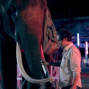 [喜剧] 大笨象 Pop Aye  [塔内·瓦拉库努娄/彭帕克·西里古尔][蓝光/高清1080p/4K下载]