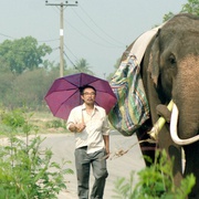 [喜剧] 大笨象 Pop Aye  [塔内·瓦拉库努娄/彭帕克·西里古尔][蓝光/高清1080p/4K下载]