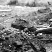 [纪录片] 道森市：冰封时光 Dawson City: Frozen Time  [Kathy Jones-Gates/Michael Gates][蓝光/高清1080p/4K下载]