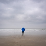 [纪录片] 大卫·爱登堡：海洋 David Attenborough: Ocean  [大卫·爱登堡][蓝光/高清1080p/4K下载]