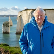 [纪录片] 大卫·爱登堡：海洋 David Attenborough: Ocean  [大卫·爱登堡][蓝光/高清1080p/4K下载]