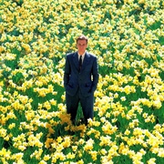 [家庭/奇幻] 大鱼 Big Fish  [伊万·麦克格雷格/阿尔伯特·芬尼][蓝光/高清1080p/4K下载]