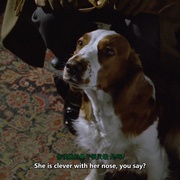 [犯罪/悬疑] 大侦探波洛 第三季 Agatha Christie's Poirot Season 3  [大卫·苏切/休·弗拉瑟][蓝光/高清1080p/4K下载]