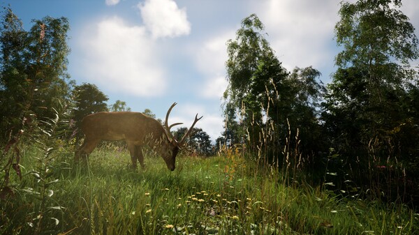 恐惧地带 v1.5.8.1 单机