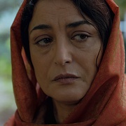 [惊悚] 德黑兰 Tehran  [妮芙·苏丹/肖恩·托布][蓝光/高清1080p/4K下载]