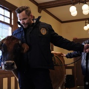 [喜剧] 动物管制官 第一季 Animal Control Season 1  [乔尔·麦克哈尔/维拉.洛弗尔][蓝光/高清1080p/4K下载]