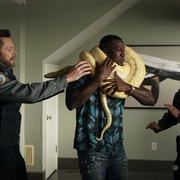 [喜剧] 动物管制官 第一季 Animal Control Season 1  [乔尔·麦克哈尔/维拉.洛弗尔][蓝光/高清1080p/4K下载]