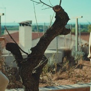 [传记/喜剧] 房子 La casa  [大卫·贝尔达格尔/路易斯·卡叶赫][蓝光/高清1080p/4K下载]