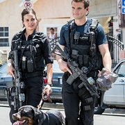 [动作/犯罪] 反恐特警组 第一季 S.W.A.T. Season 1  [斯黛芬妮·西格曼/琳娜·埃斯科][蓝光/高清1080p/4K下载]