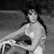 [动作/运动] 疯狂大赛车 The Great Race  [杰克·莱蒙/托尼·柯蒂斯][蓝光/高清1080p/4K下载]