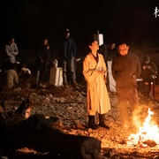 [短片] 光合计划  [刘钧/冯兵][蓝光/高清1080p/4K下载]