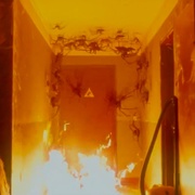 [恐怖] 害虫 Vermines  [西奥·克里斯廷/索菲娅·勒萨弗尔][蓝光/高清1080p/4K下载]