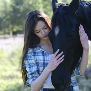 [剧情] 黑神驹 Black Beauty  [凯特·温丝莱特/麦肯吉·弗依][蓝光/高清1080p/4K下载]