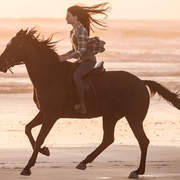 [剧情] 黑神驹 Black Beauty  [凯特·温丝莱特/麦肯吉·弗依][蓝光/高清1080p/4K下载]