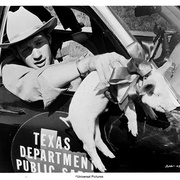 [犯罪/冒险] 横冲直撞大逃亡 The Sugarland Express  [歌蒂·韩/本·约翰逊][蓝光/高清1080p/4K下载]