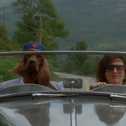 [喜剧] 滑稽农场 Funny Farm  [切维·切斯/玛多林·史密斯·奥斯巴内][蓝光/高清1080p/4K下载]