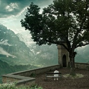 [悬疑/惊悚] 救命解药 A Cure for Wellness  [戴恩·德哈恩/詹森·艾萨克][蓝光/高清1080p/4K下载]