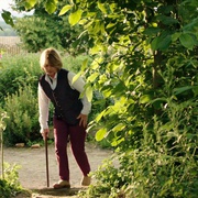 [冒险] 骏马奥斯温2 Ostwind 2  [汉娜·宾克/杰尼斯·纽沃纳][蓝光/高清1080p/4K下载]