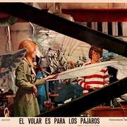 [奇幻/喜剧] 空中怪客 Brewster McCloud  [巴德·库特/萨莉·凯勒曼][蓝光/高清1080p/4K下载]