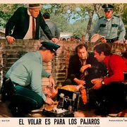 [奇幻/喜剧] 空中怪客 Brewster McCloud  [巴德·库特/萨莉·凯勒曼][蓝光/高清1080p/4K下载]