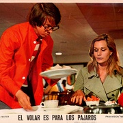 [奇幻/喜剧] 空中怪客 Brewster McCloud  [巴德·库特/萨莉·凯勒曼][蓝光/高清1080p/4K下载]