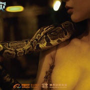 [灾难/冒险] 狂蟒之灾  [尹子维/夏若妍][蓝光/高清1080p/4K下载]