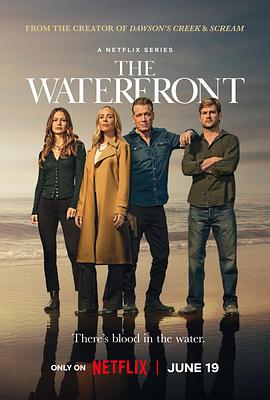 [犯罪] 码头风云 The Waterfront  [霍特·麦克卡兰尼/梅莉莎·班诺伊][蓝光/高清1080p/4K下载]