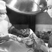 [恐怖] 没有面孔的眼睛 Les yeux sans visage  [皮埃尔·布拉瑟/阿莉达·瓦利][蓝光/高清1080p/4K下载]