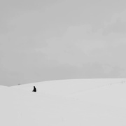 [爱情/奇幻] 魔鬼时光 November  [蕾雅·莱斯特/乔根·里克][蓝光/高清1080p/4K下载]