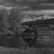 [西部] 枪手 The Gunfighter  [格利高里·派克/海伦·维斯特考特][蓝光/高清1080p/4K下载]