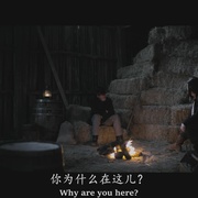 [西部/动作] 枪手 The Gunslingers  [尼古拉斯·凯奇/海瑟·格拉汉姆][蓝光/高清1080p/4K下载]