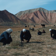 [剧情] 清水里的刀子  [杨生仓][蓝光/高清1080p/4K下载]