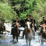 [战争/西部] 擒贼擒王 Rio Lobo  [约翰·韦恩/乔治·里维罗][蓝光/高清1080p/4K下载]