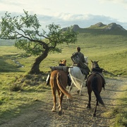 [动作/冒险] 七王国的骑士 第一季 A Knight of the Seven Kingdoms Season 1  [彼得·克拉菲/德克斯特·索尔·安塞尔][蓝光/高清1080p/4K下载]