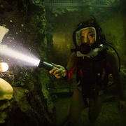 [惊悚/冒险] 鲨海逃生 47 Meters Down: Uncaged  [尼娅·朗/约翰·考伯特][蓝光/高清1080p/4K下载]