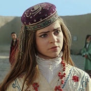 [动作/战争] 沙漠白日 Белое солнце пустыни  [阿纳托利·库兹涅佐夫/斯巴达克·米舒林][蓝光/高清1080p/4K下载]