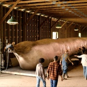 [喜剧/悬疑] 上载新生 第三季 Upload Season 3  [罗比·阿梅尔/安迪·阿洛][蓝光/高清1080p/4K下载]