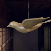 [武侠/动作] 少年歌行之暗河传 第一季  [刘明月/唐小喜][蓝光/高清1080p/4K下载]