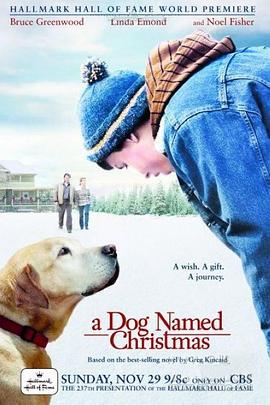 [家庭] 圣诞狗 A Dog Named Christmas  [Bruce Greenwood/Linda Emond][蓝光/高清1080p/4K下载]